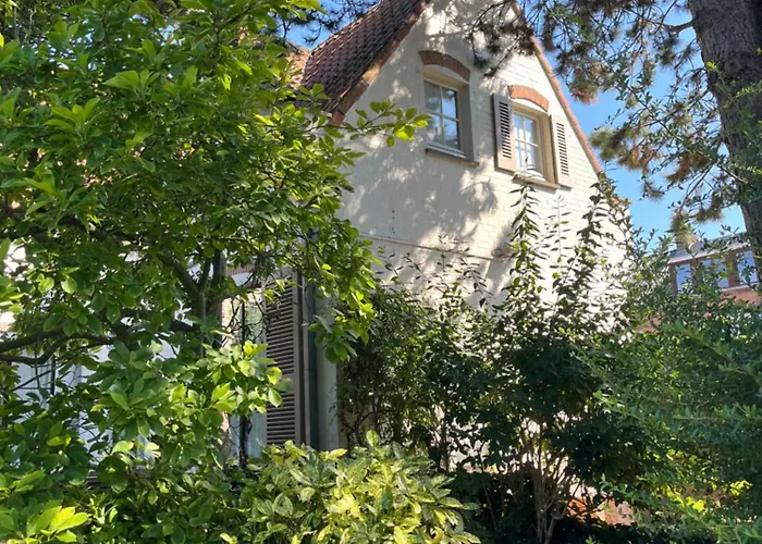 Florence 奥斯滕德