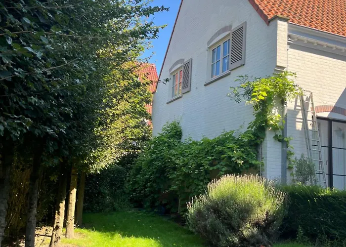 Florence 奥斯滕德